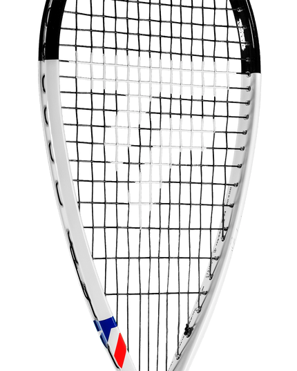 Tecnifibre Carboflex NEO 120 head